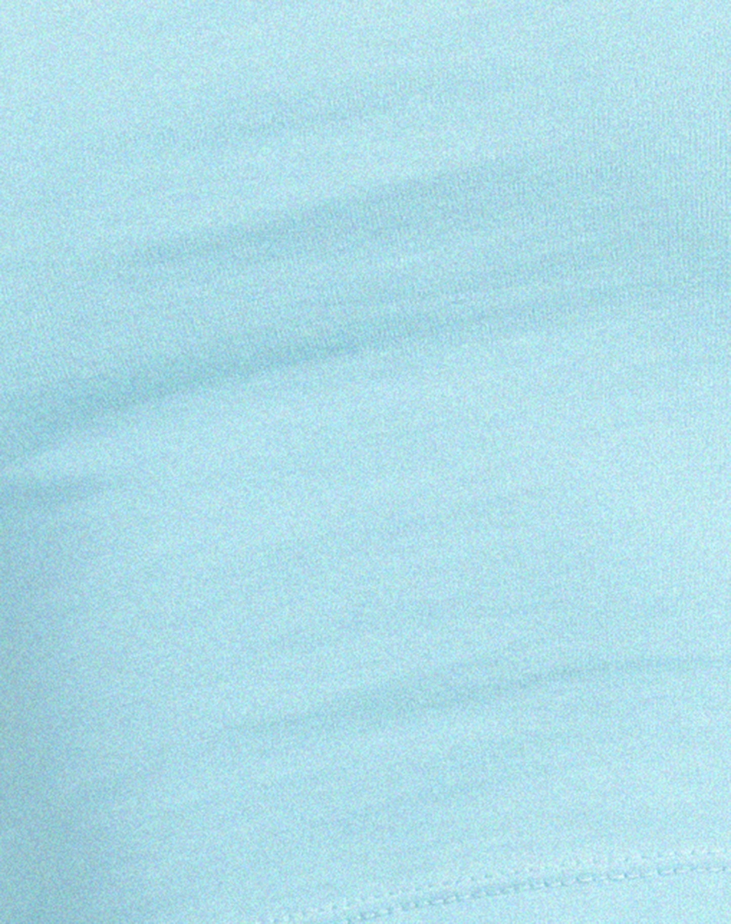Brandy Long Sleeve Top in Petit Flour Blue