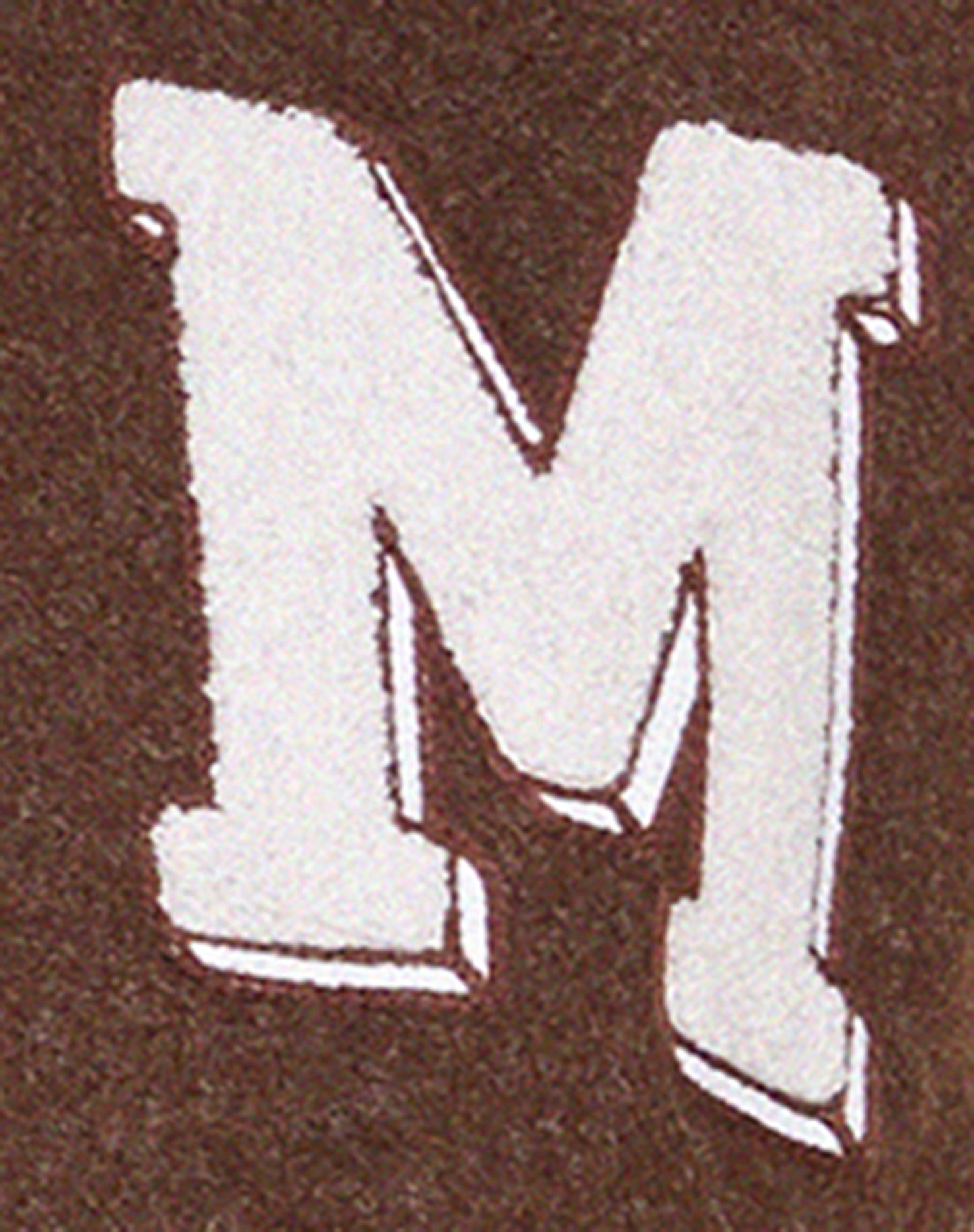 Bama Varsity Jacket in Brown Beige