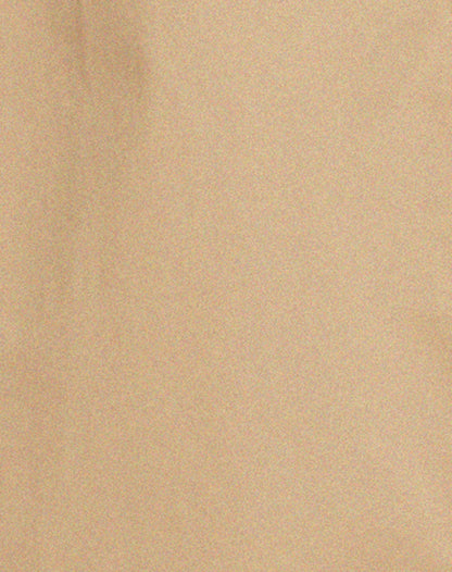Assa Trench Coat in Tan with Stripe Lining